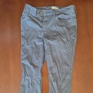 LOFT Gray Petite Pants (2P)